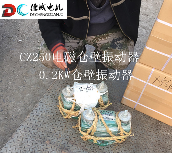 CZ250電磁倉壁振動器發貨_副本.jpg